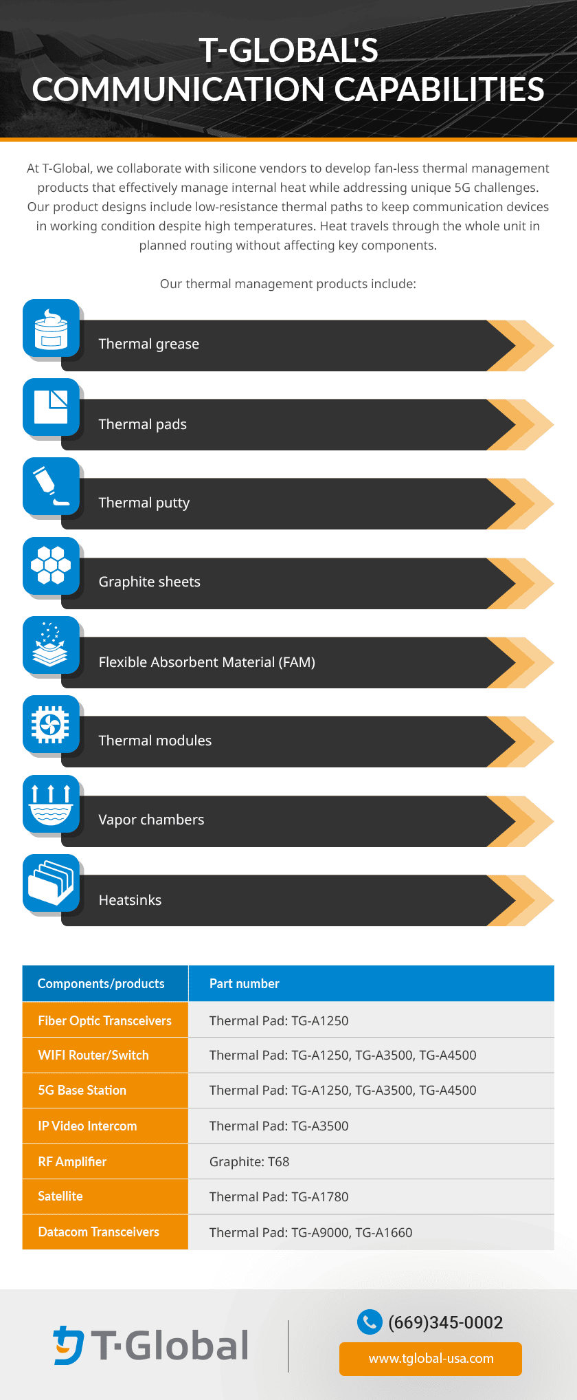 T-Global's Communication Capabilities T-Global's Communication Capabilities